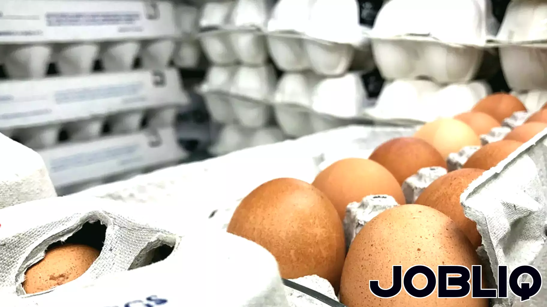 Farmers Respond to Trump's Strategy for Addressing Egg Crisis