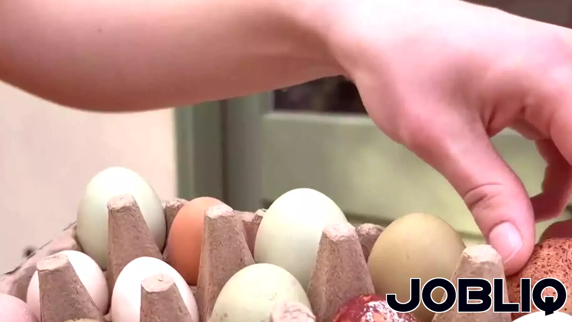 Soaring Egg Prices Create New Business Opportunities in North Bay